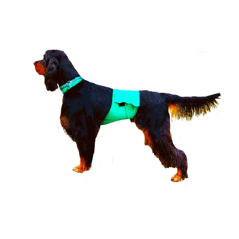 794x794 dog pee coat dog speedo dog grooming coat etsy