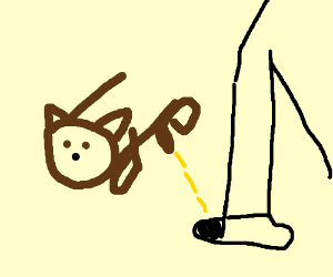 300x250 Dog Pees On Mans Leg