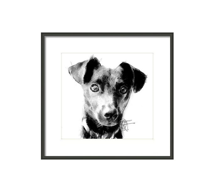 682x620 Sketch A Pencil Portrait Of Your Pet