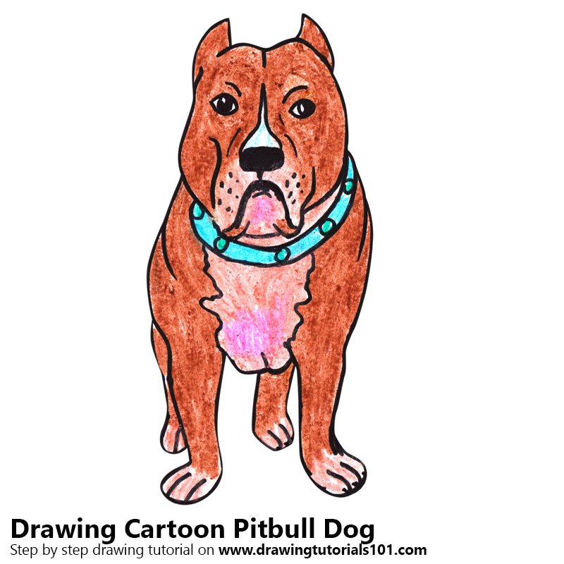 800x800 Cartoon Pitbull Dog Colored Pencils
