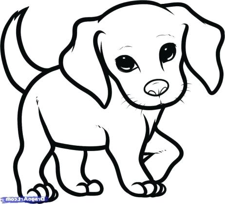 462x420 Puppy Drawing Easy