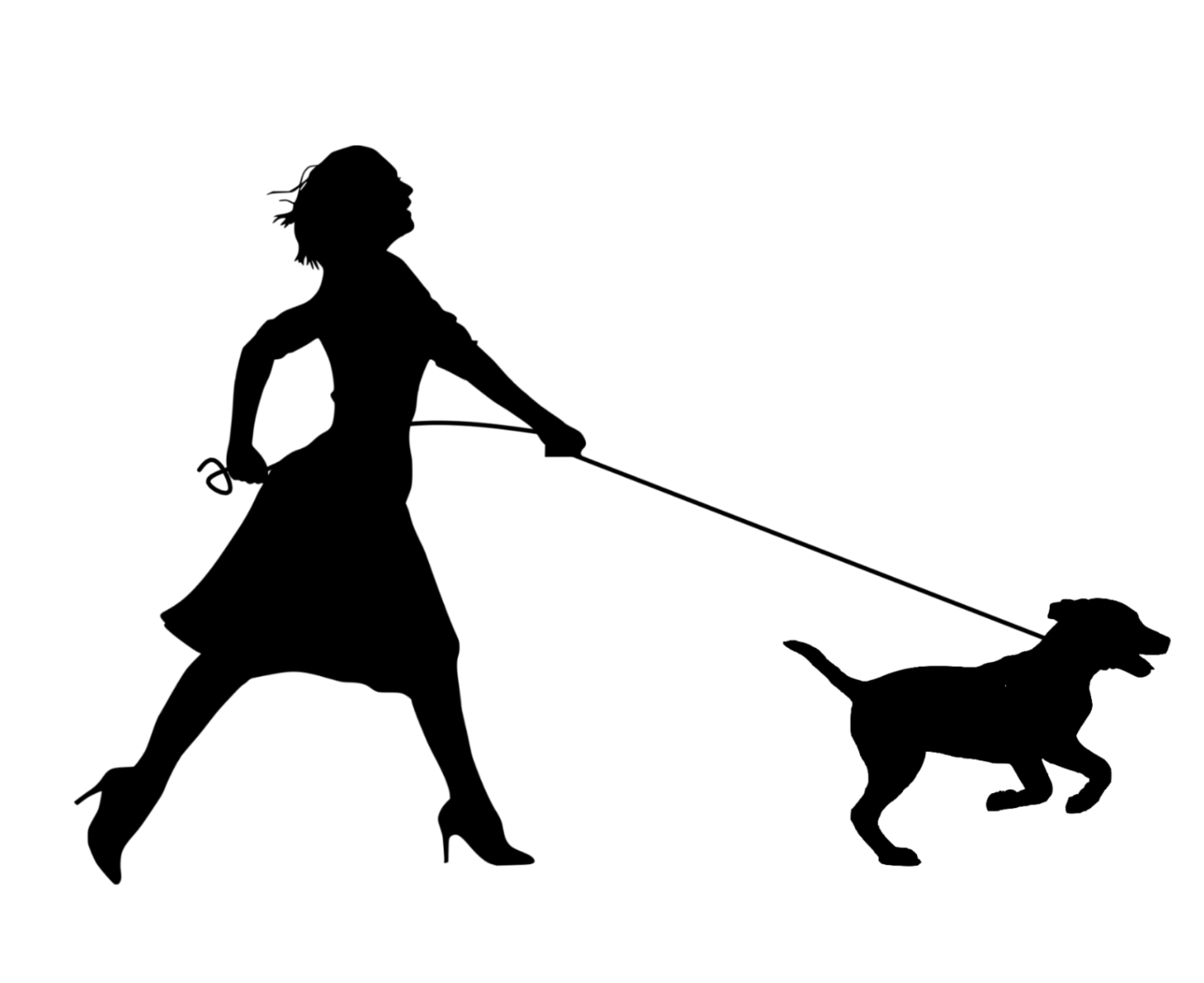 2048x1673 Free Images Walk, Silhouette, Running, Pet, Girl, Sports Vector