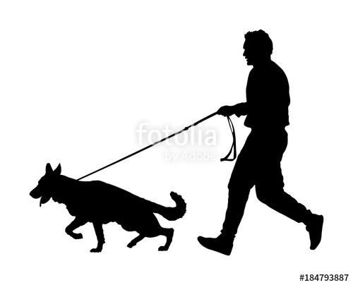 500x404 Owner Keeps The Dog On The Leash German Shepherd Running