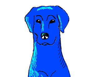 300x250 Polar Bear Wearing A Hat