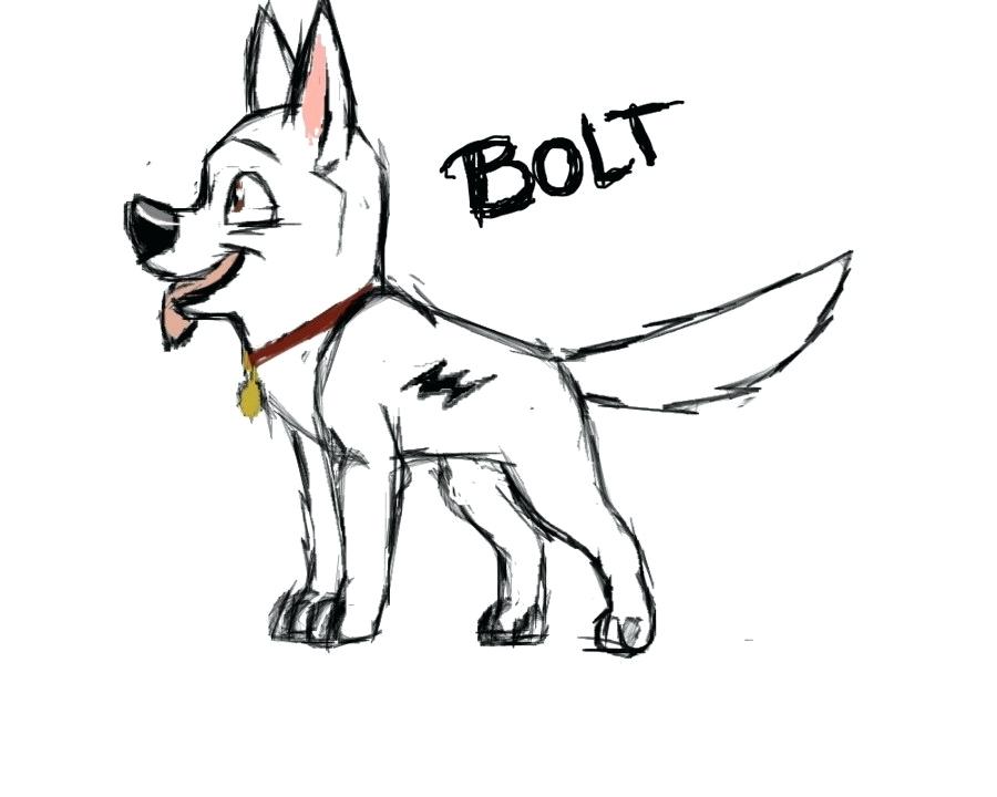 900x720 How To Draw A Huskey