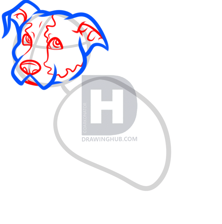 712x720 how to draw a sitting dog, draw a dog sitting, step