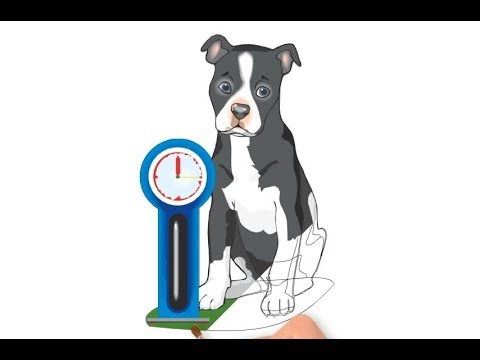 480x360 Iak Namaliuvati Sobaku, Shcho Sidit, Iak Namaliuvati Sobaku Krok Za