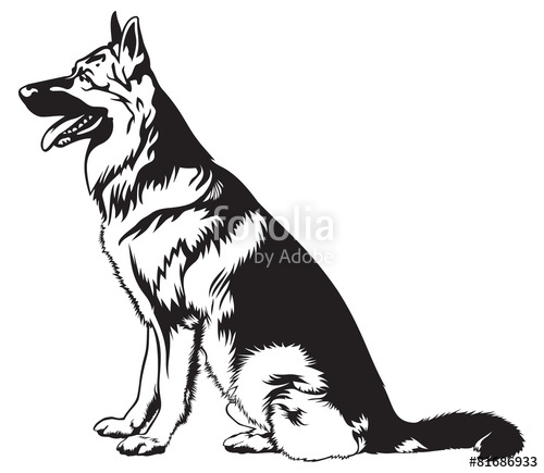 500x435 Sitting Dog German Shepherd Stock Image And Royalty Free Vector