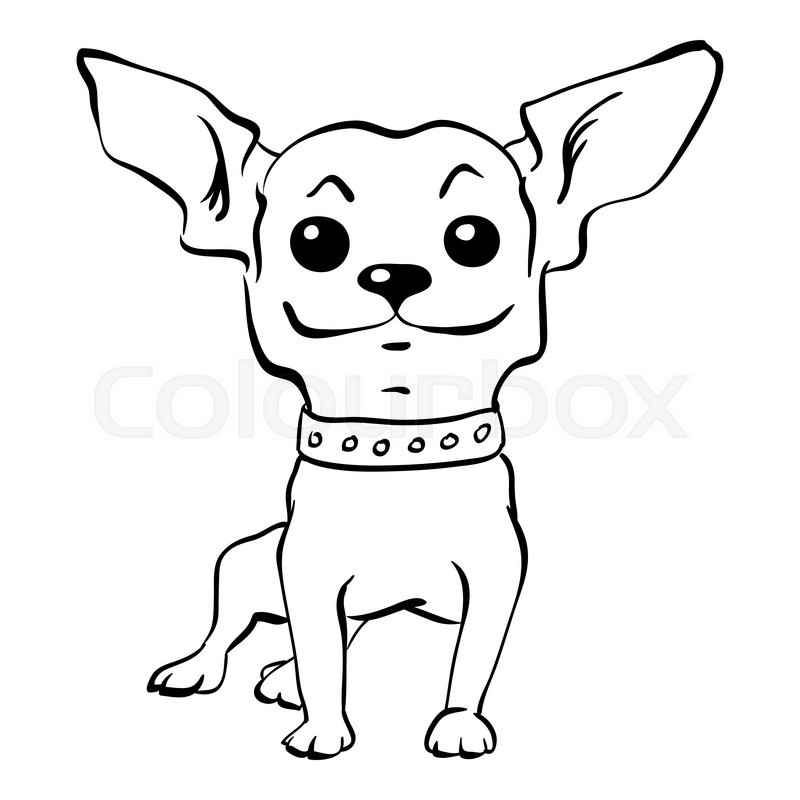 800x800 Sketch Funny Dog Short Haired Stock Vector Colourbox