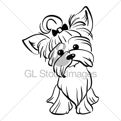 500x500 Vector Sketch Funny Yorkshire Terrier Dog Sitting Gl Stock Images