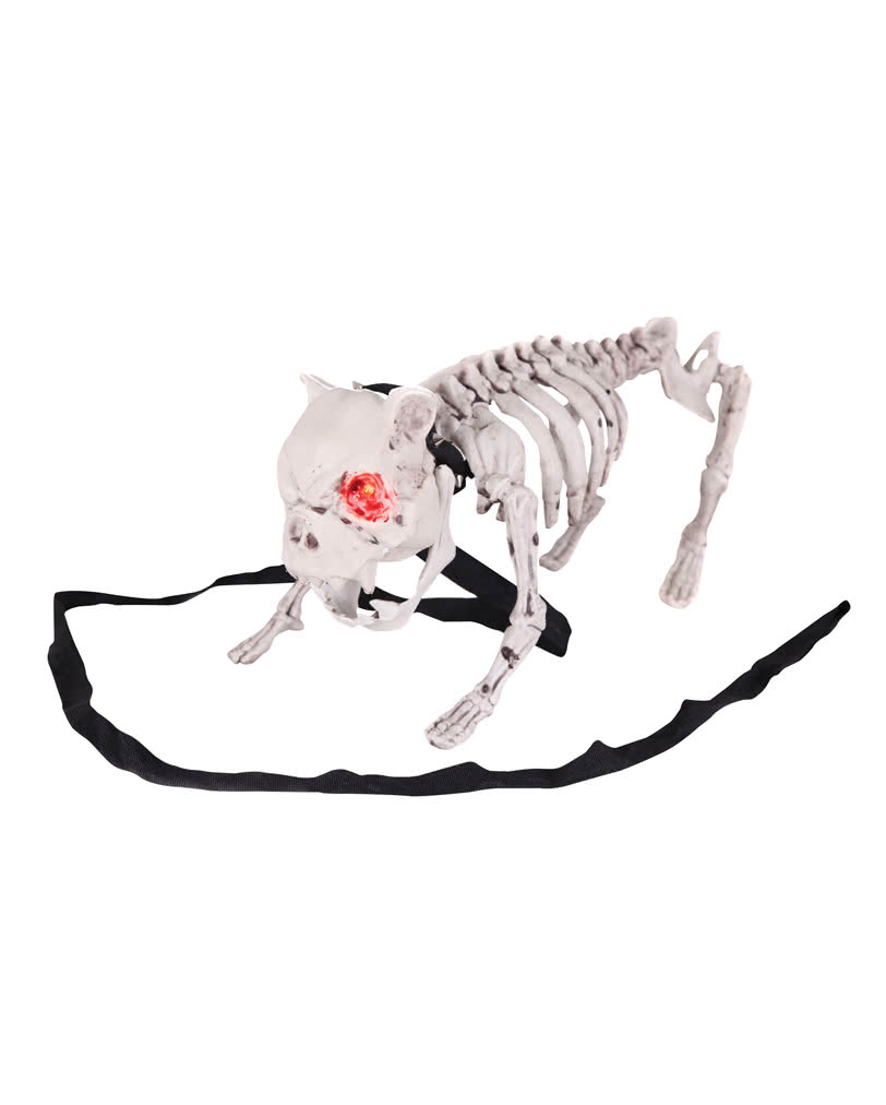 812x1012 Barking Dog Skeleton Halloween Dog With Led Eyes Horror