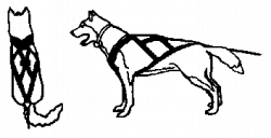 250x128 Sledding Drawing Dog Sled Race, Picture