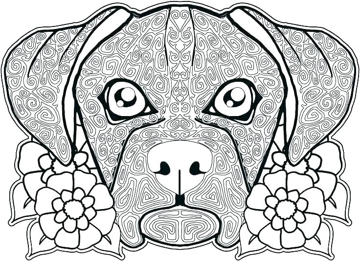 736x533 Color Pages Dogs Dogs Pictures To Color Dog Coloring Pages Dog