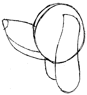 300x329 How To Draw Slinky Dog From Toy Story With Easy Step