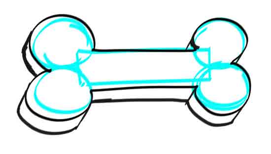 550x312 How To Draw A Dog Bone