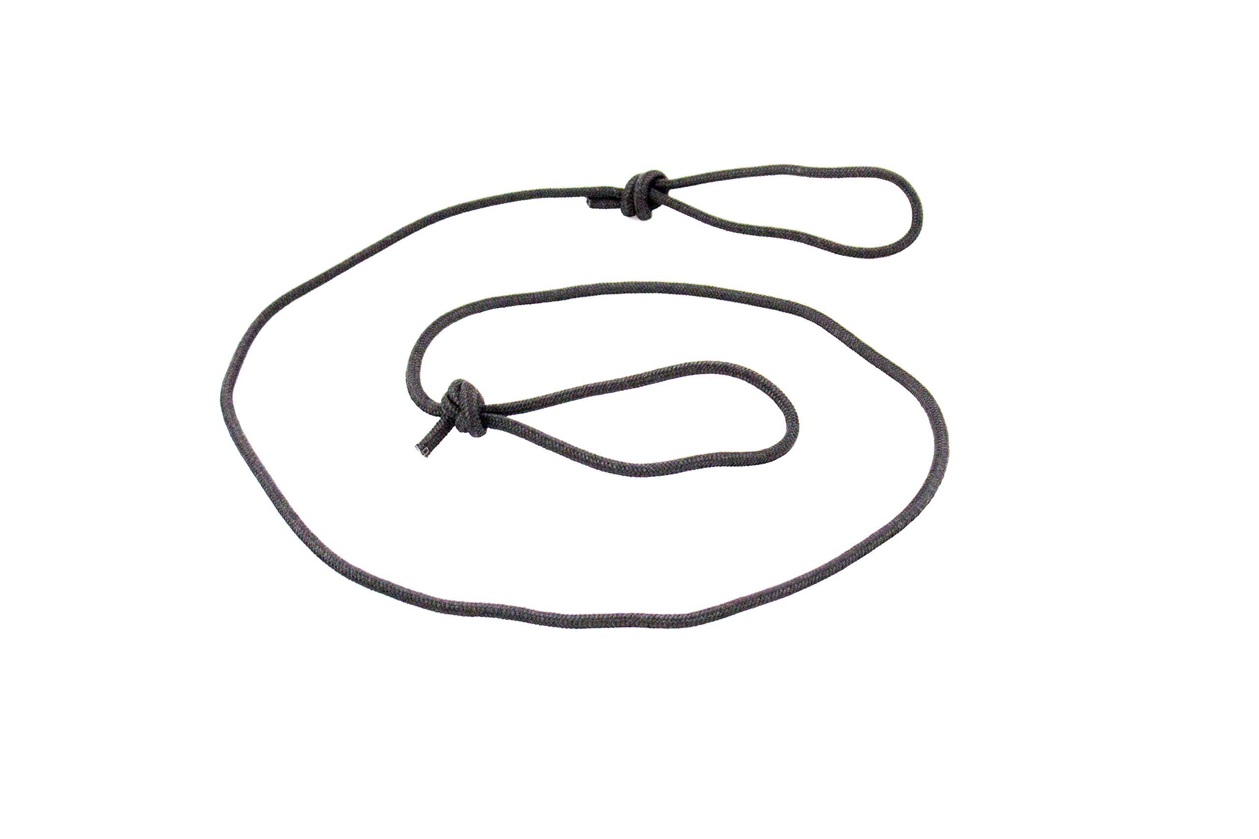 2560x1707 tumbo indoor tiny tugger energetic ceiling hanging bungee dog toy