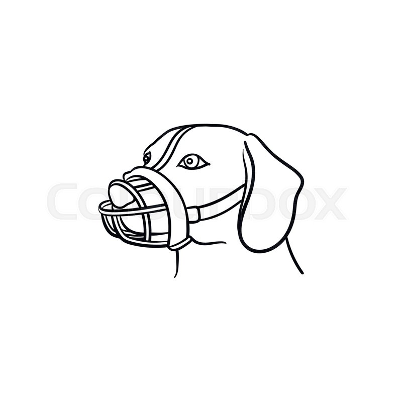 800x800 Muzzled Dog Hand Drawn Outline Doodle Stock Vector Colourbox