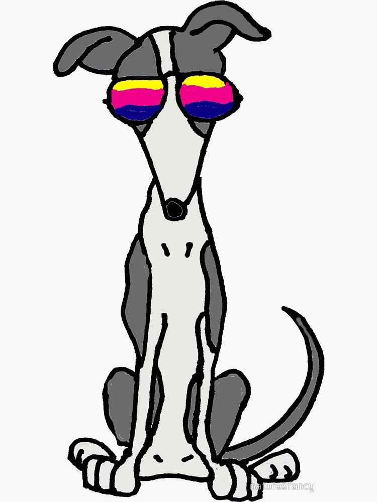 750x1000 cool funny grey and white greyhound dog wearing sunglasses