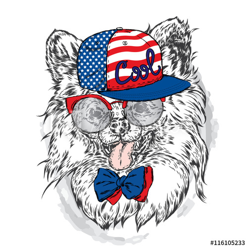 500x500 Cute Puppy Wearing A Cap And Sunglasses Vector Illustration Cool