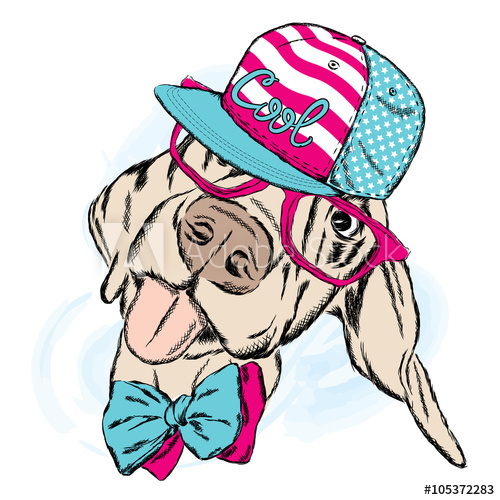 Dog With Sunglasses Drawing Free download on ClipArtMag