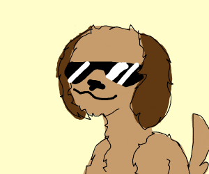 300x250 A Dog Wearing Sunglasses