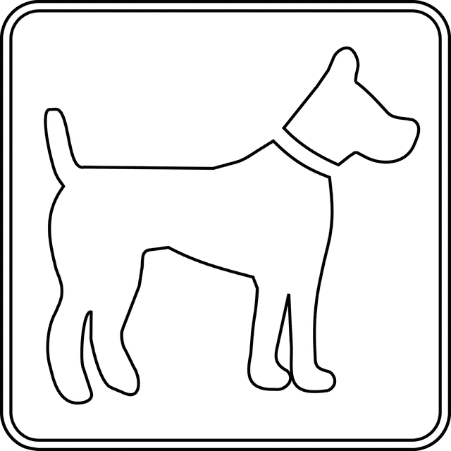 Doge Drawing
