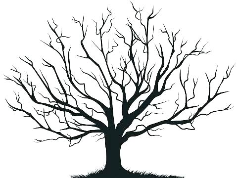 479x360 Drawing Family Tree Coloring Pages In Images With Coloring Tree
