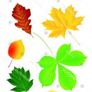 300x300 drawing of cherry blossom tree cherry blossom tree drawing cherry