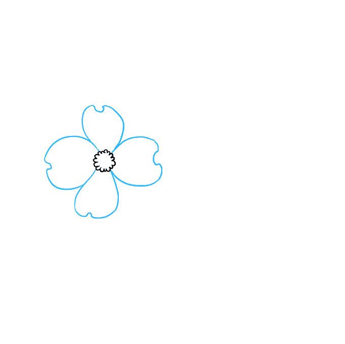 680x678 how to draw dogwood flowers