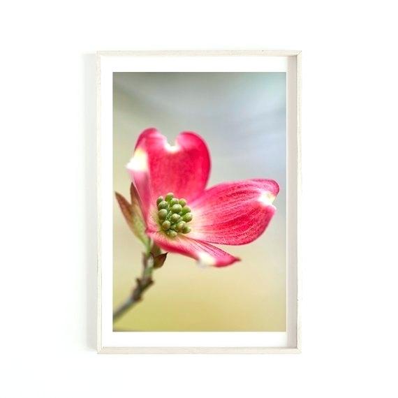 570x570 pink dogwood flower tree blooming with flowers images tattoo