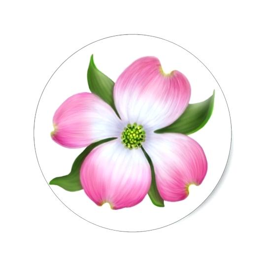 540x540 dogwood flower creator house simple picture