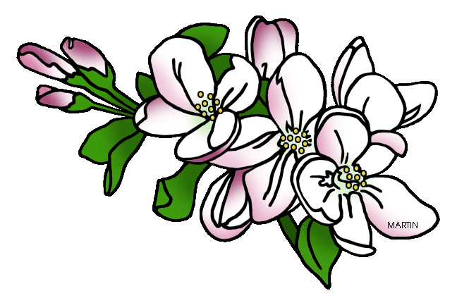 648x423 Collection Of Free Flower Drawing Apple Blossom Download On Ui Ex