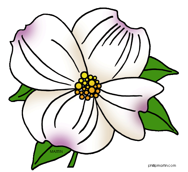 648x592 collection of free transparent flowers dogwood download on ui ex