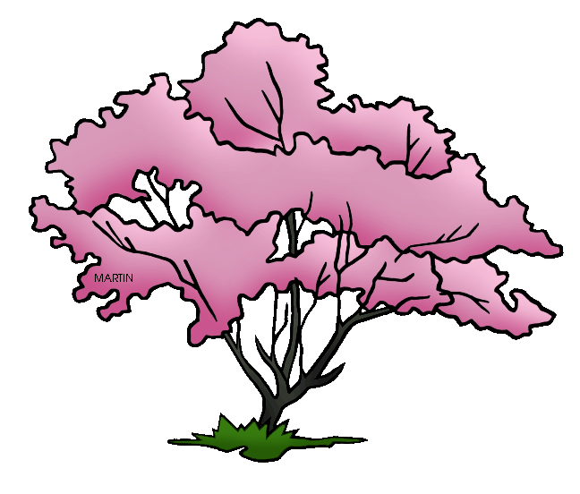 648x552 collection of free transparent tree dogwood download on ui ex