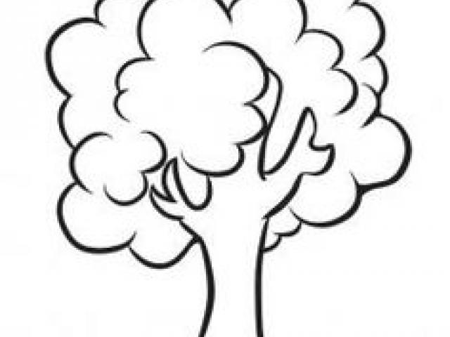 640x480 Dogwood Tree Drawing Free Download Clip Art
