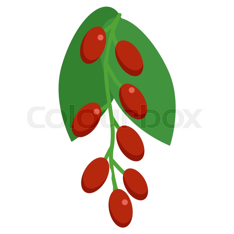 800x800 Dogwood Fresh Berry Icon, Vector Stock Vector Colourbox