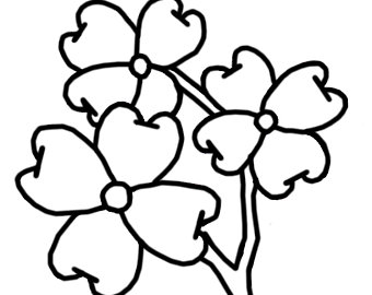 340x270 Dogwood Illustration Etsy