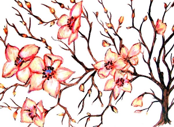 600x439 Easter Dogwood Painting
