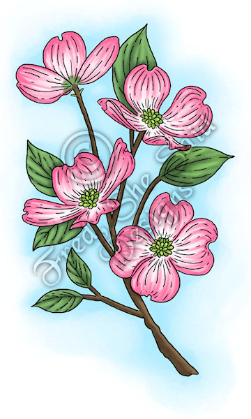 360x600 Fred, She Said