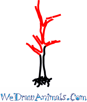 300x350 How To Draw A Dogwood Tree