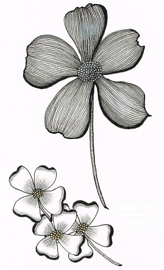 548x900 Dogwood Flower Drawing