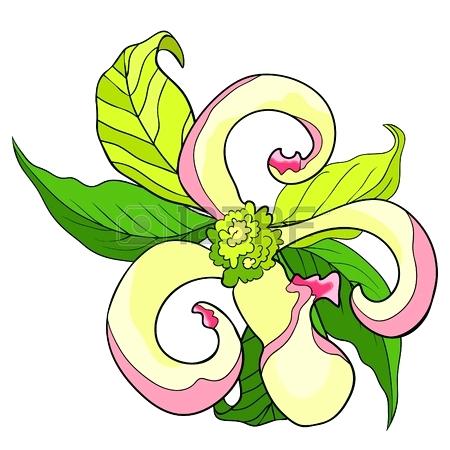 450x450 Dogwood Flower Clipart Watercolor Flowering Painting Free Bdennis