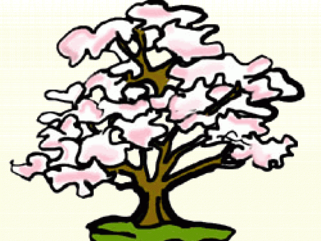 640x480 Dogwood Tree Drawing