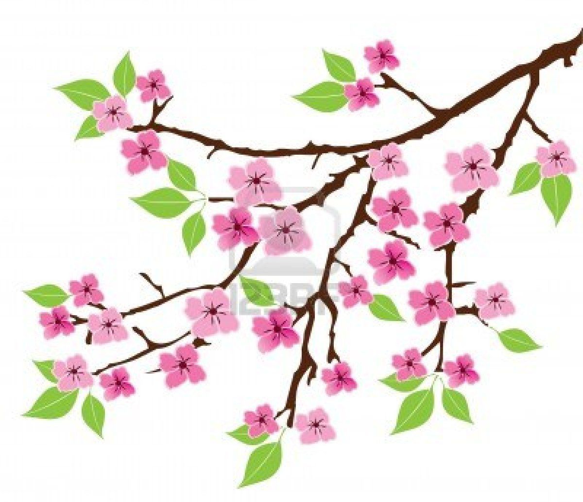 1200x1032 Dogwood Tree Flower Drawing