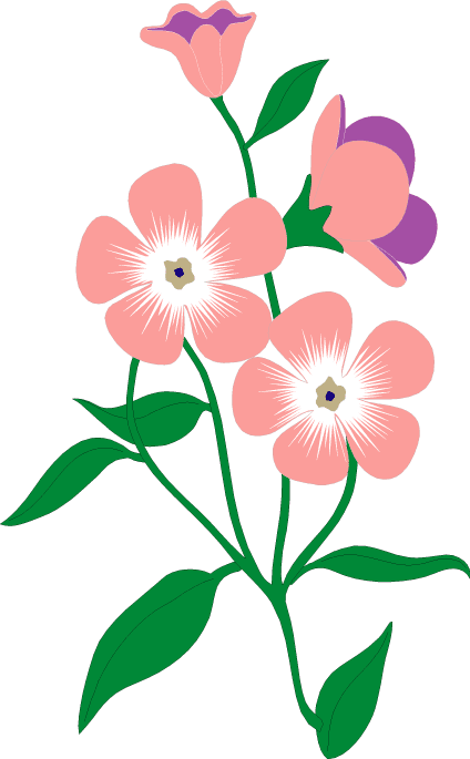 424x685 Dogwood Vector Flower Transparent Png Clipart Free Download