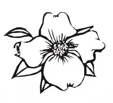 373x342 Annual Dogwood Crosstown Classic