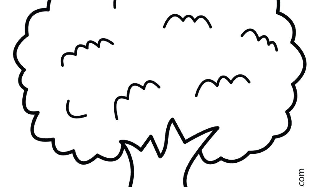 1024x600 Flowering Dogwood Coloring