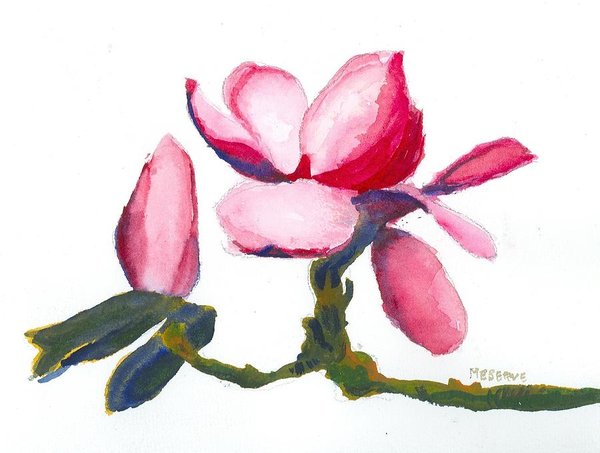 600x453 Dogwood Flower Paintings