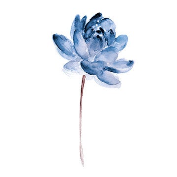 360x360 Dogwood Plant White Floral Art Print Anniversary Gift Idea Etsy