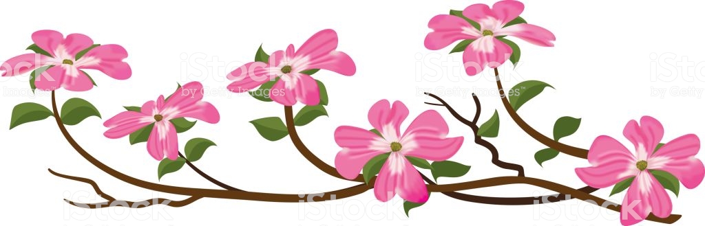 1024x329 Dogwood Tree Clipart